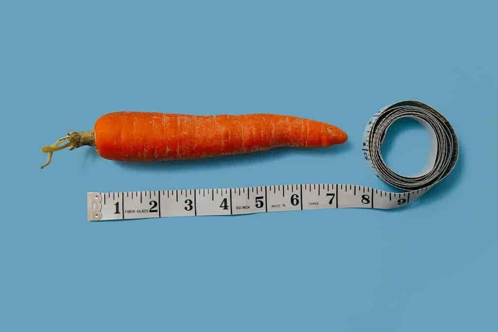 carrot and measuring tape how to measure your dick